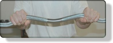 reverse-grip-barbell-curls4.jpg