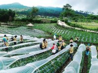 Agrowisata Lembah Asri Serang Purbalingga.jpg