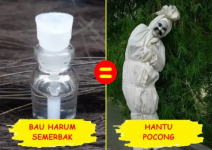 4d35ec60c8ececd886728fc04e3c5383.png