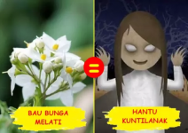 39f8e936c2b766f7eeec2aed49991d4c.png
