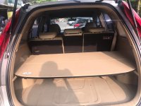 1HelmyCrv6.jpg