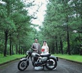 StellianBrides1.jpg