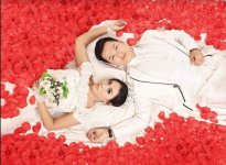 StellianBrides4.jpg