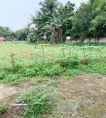 Tanah Dijual di Cidokom Rumpin Bogor Dekat Pasar Gobang, SD Negeri Cidokom 02 Rumpin Bogor, K...jpeg