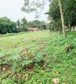 Tanah Dijual di Cidokom Rumpin Bogor Dekat Pasar Gobang, SD Negeri Cidokom 02 Rumpin Bogor, K...jpeg