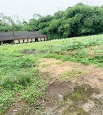Tanah Dijual di Cidokom Rumpin Bogor Dekat Pasar Gobang, SD Negeri Cidokom 02 Rumpin Bogor, K...jpeg