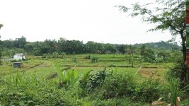 Tanah Dijual di Tamansari Bogor Dekat Desa Wisata Pasireurih, SMAN 1 Tamansari, Pusdikintel K...jpeg