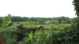 Tanah Dijual di Tamansari Bogor Dekat Desa Wisata Pasireurih, SMAN 1 Tamansari, Pusdikintel K...jpeg