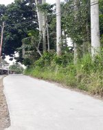 Tanah Dijual di Tamansari Bogor Dekat Desa Wisata Pasireurih, SMAN 1 Tamansari, Pusdikintel K...jpeg