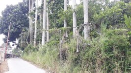 Tanah Dijual di Tamansari Bogor Dekat Desa Wisata Pasireurih, SMAN 1 Tamansari, Pusdikintel K...jpeg