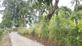 Tanah Dijual di Tamansari Bogor Dekat Desa Wisata Pasireurih, SMAN 1 Tamansari, Pusdikintel K...jpeg