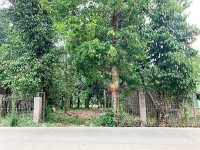 Tanah Dijual di Tajur Halang Bogor Dekat SMA Negeri 1 Tajurhalang, RS Citama Bojonggede, Stas...jpeg