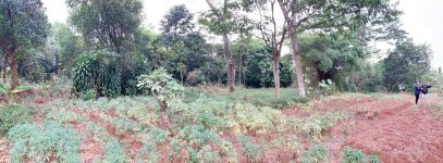 Tanah Dijual di Tajur Halang Bogor Dekat SMA Negeri 1 Tajurhalang, RS Citama Bojonggede, Stas...jpeg
