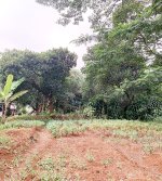 Tanah Dijual di Tajur Halang Bogor Dekat SMA Negeri 1 Tajurhalang, RS Citama Bojonggede, Stas...jpeg