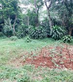 Tanah Dijual di Tajur Halang Bogor Dekat SMA Negeri 1 Tajurhalang, RS Citama Bojonggede, Stas...jpeg