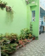 Kost Dekat Universitas BINUS Malang, Plaza Araya, Politeknik Negeri Malang, RS Persada Kota M...jpeg