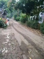 dijual-rumah-kontrakan-di-bogor-36454.jpg
