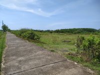 IMG_20220321_103735.jpg