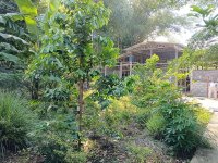 Tanah Dijual di Sambi Boyolali Dekat Pasar Sambi Boyolali, RS Asy-Syifa, Bandara Adisumarmo 0...jpeg