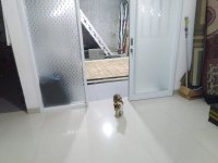 Rumah Dijual di Griya Asri Cahaya Cipageran Cimahi Dekat Alun-Alun Cimahi, AWC Alam Wisata Ci...jpeg