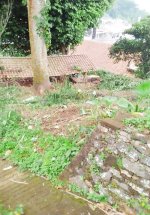 Tanah Dijual di Panawangan Ciamis Dekat Pasar Panawangan, Kantor Kecamatan Panawangan, SMA Ne...jpeg