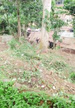 Tanah Dijual di Panawangan Ciamis Dekat Pasar Panawangan, Kantor Kecamatan Panawangan, SMA Ne...jpeg