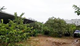 Dijual Tanah di Pondok Cabe Dekat Bandara Pondok Cabe, Pasar Pondok Cabe, TIP TOP Ciputat, RS...jpeg