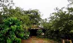 Dijual Tanah di Pondok Cabe Dekat Bandara Pondok Cabe, Pasar Pondok Cabe, TIP TOP Ciputat, RS...jpeg