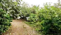 Dijual Tanah di Pondok Cabe Dekat Bandara Pondok Cabe, Pasar Pondok Cabe, TIP TOP Ciputat, RS...jpeg