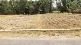 Dijual Tanah di Candirejo Sleman Yogyakarta Dekat Bandara Adisutjipto, RSUD Prambanan, Pasar ...jpeg