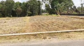 Dijual Tanah di Candirejo Sleman Yogyakarta Dekat Bandara Adisutjipto, RSUD Prambanan, Pasar ...jpeg