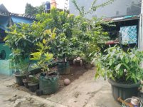 Jual Tanah di Pondok Labu Jakarta Selatan Dekat One Belpark Mall, Stasiun MRT Fatmawati, RS Fa...jpg