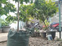 Jual Tanah di Pondok Labu Jakarta Selatan Dekat One Belpark Mall, Stasiun MRT Fatmawati, RS Fa...jpg