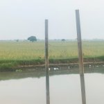 Dijual Tanah Sawah di Jayakerta Karawang Dekat RS Hastien Rengasdengklok, SMAN 1 Rengasdengkl...jpeg