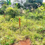 Jual Tanah Kavling di Bojongsari Kota Depok Dekat RS Citra Arafiq, RSUD Kota Depok, SMPN 10 D...jpeg