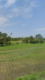 Screenshot_20260426_155538_Maps (1).jpg