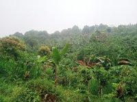 Tanah Dijual di Buleleng Bali 0001.jpeg