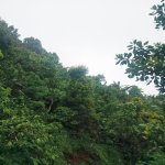 Tanah Dijual di Buleleng Bali 0003.jpeg