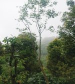 Tanah Dijual di Buleleng Bali 0004.jpeg