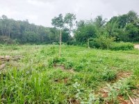 Jual Tanah di Jasinga Bogor Dekat SDN Koleang 03 Jasinga, Puskesmas Koleang, Pasar Jasinga 0004.jpeg