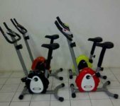 belt-bike-magnetic.jpg