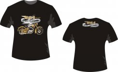 BSA Goldflash.jpg