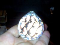 08092009126.jpg