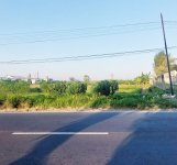 Jual Tanah di Kedungpring Lamongan Dekat Pasar Kedungpring, SMA Negeri Kedungpring, Puskesmas...jpeg