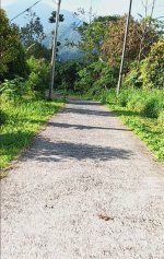 IMG-20250330-WA0009.jpg