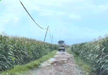 Screenshot_20250515_073126_Files by Google.jpg