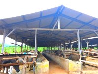 Screenshot_20250515_073439_Files by Google.jpg