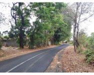 WhatsApp Image 2022-10-04 at 08.48.14.jpeg