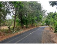 WhatsApp Image 2022-10-04 at 08.48.18.jpeg