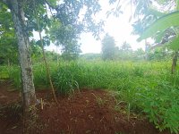 Jual Tanah di Batuwarno Wonogiri 0010.jpeg